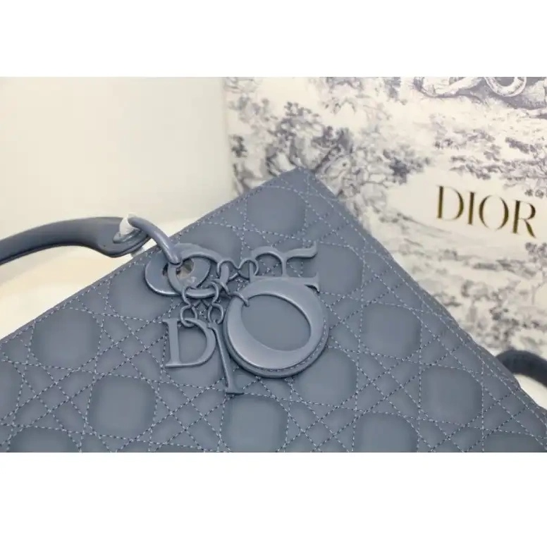 Fashion Reps Bags 2012SH0097 Dio 0504